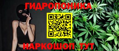 крисы Конаково