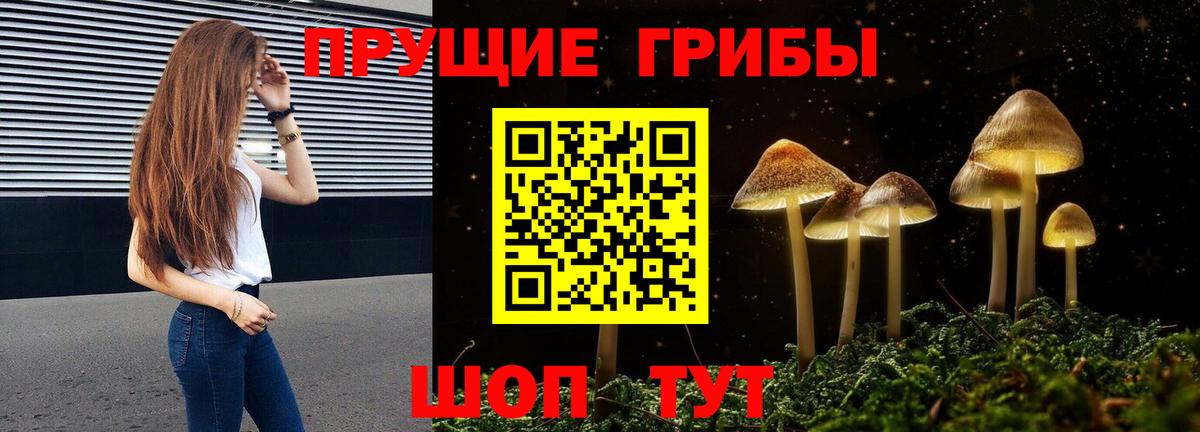 Галлюциногенные грибы Psilocybe  купить наркоту  Гай  Вход с VPN 